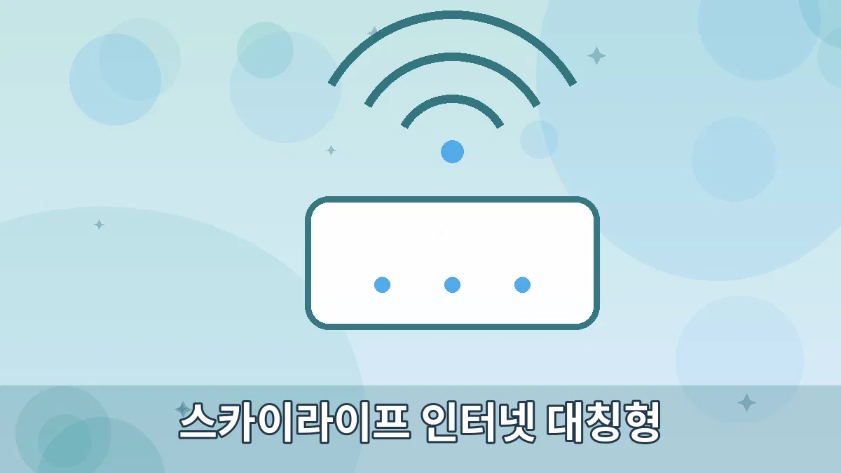 스카이라이프 인터넷 대칭형 안내 이미지 5